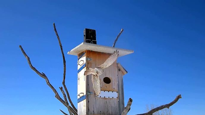 WEB ADJ 1 FK Snapshot