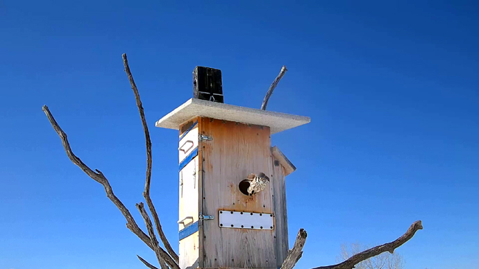 WEB ADJ 2 FK Snapshot JPG