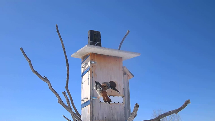 WEB ADJ 3 MK Snapshot