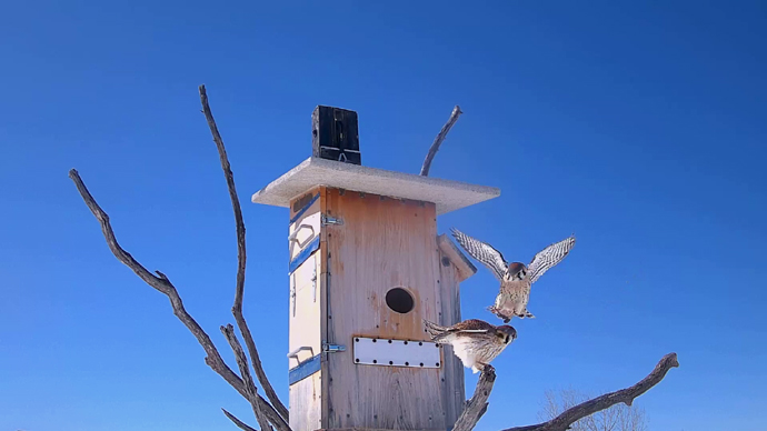 WEB ADJ 4 FK & MK Snapshot JPG