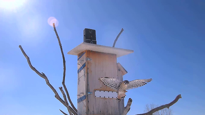 WEB ADJ 4 MK Snapshot