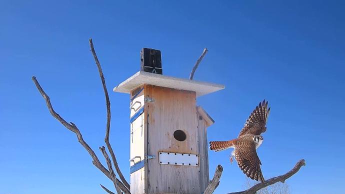 WEB ADJ 5 FK Snapshot