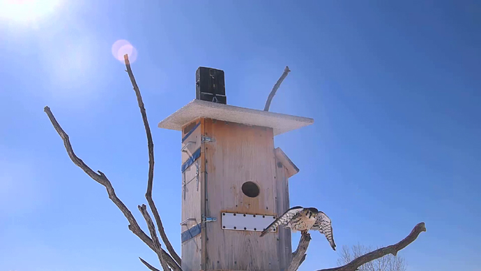 WEB ADJ 5 MK Snapshot