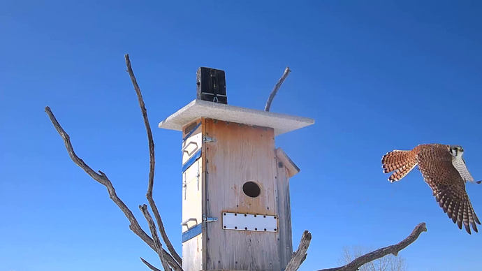 WEB ADJ 6 FK Snapshot