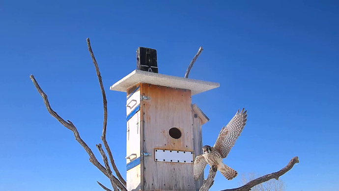 WEB ADJ 6 FK Snapshot JPG