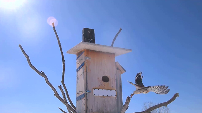 WEB ADJ 6 MK Snapshot