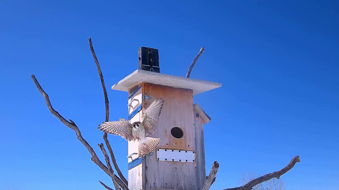 WEB ADJ 7 FK Snapshot JPG