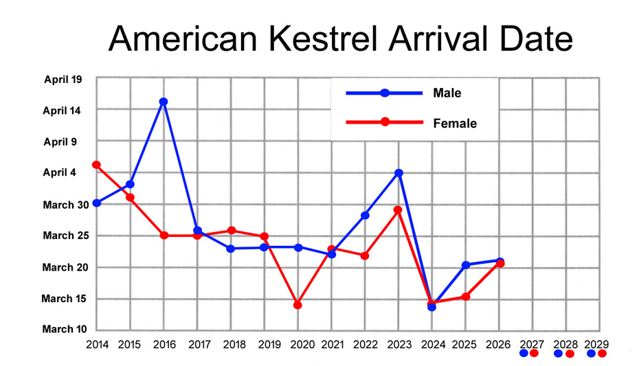 930 X 53326 GOOD CHART JPGjpg