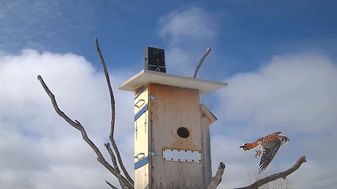 WEB ADJ 01 mk Snapshot JPG