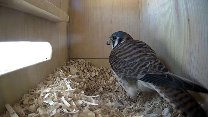 WEB ADJ 1 FK MAR. 22, 2026 JPG