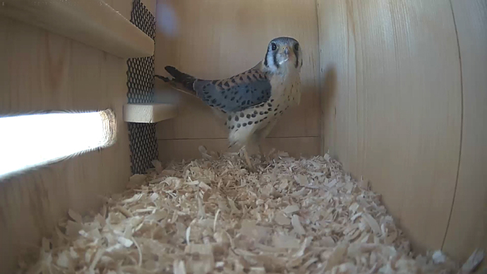 WEB ADJ 1 MK MAR. 22, 2026 JPG