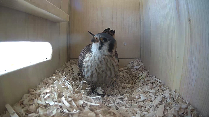 WEB ADJ 2 FK MAR. 22, 2026 JPG