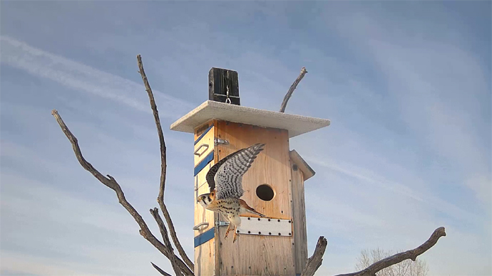 WEB ADJ 2 M K Snapshot JPG