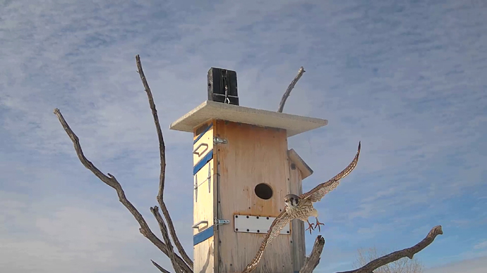 WEB ADJ 2 OUTS  FK  Snapshot JPG