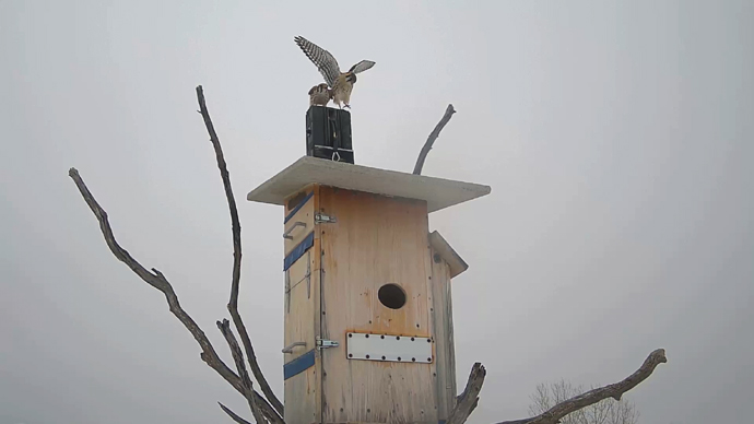 WEB ADJ 3 COP Snapshot JPG