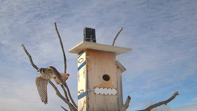 WEB ADJ 3 OUTS  FK  Snapshot JPG