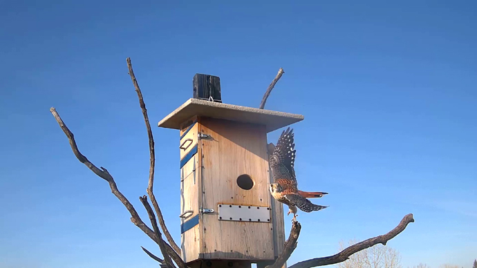 WEB ADJ 60 MK OUT Snapshot JPG