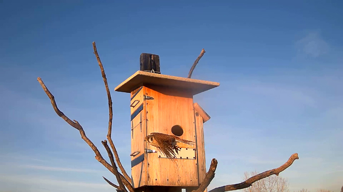 WEB ADJ 61 FK OUT Snapshot JPG