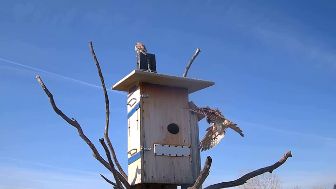 WEB ADJ 64 FK OUT Snapshot JPG