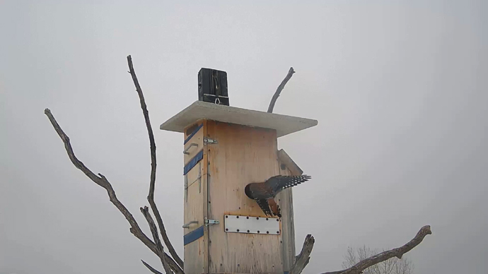 WEB ADJ 6 MK Snapshot JPG