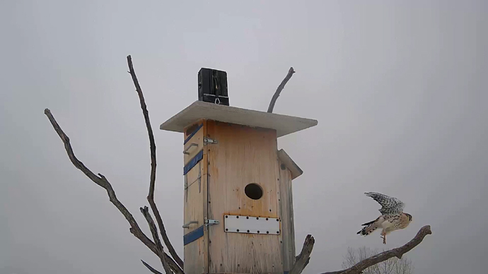 WEB ADJ 7 MK Snapshot JPG