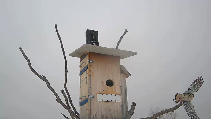 WEB ADJ 8 MK Snapshot JPG