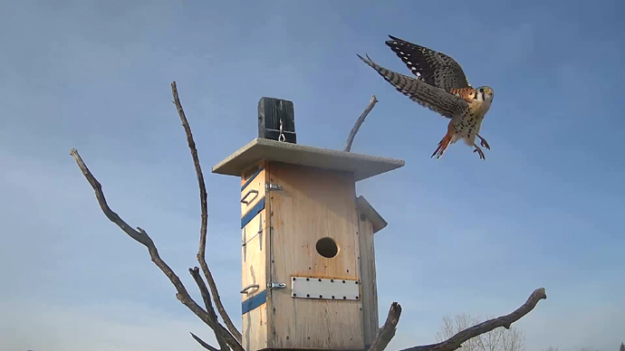 WEB ADJ 96 OUT MK Snapshot JPG