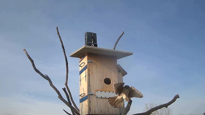 WEB ADJ 97 OUT FK Snapshot JPG