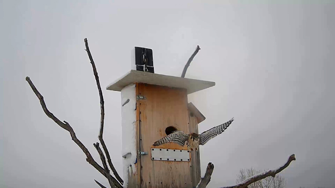 WEB ADJ 98 MK OUT Snapshot JPG