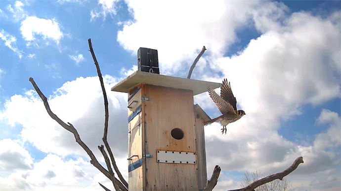 WEB ADJ 99 FK OUT Snapshot JPG