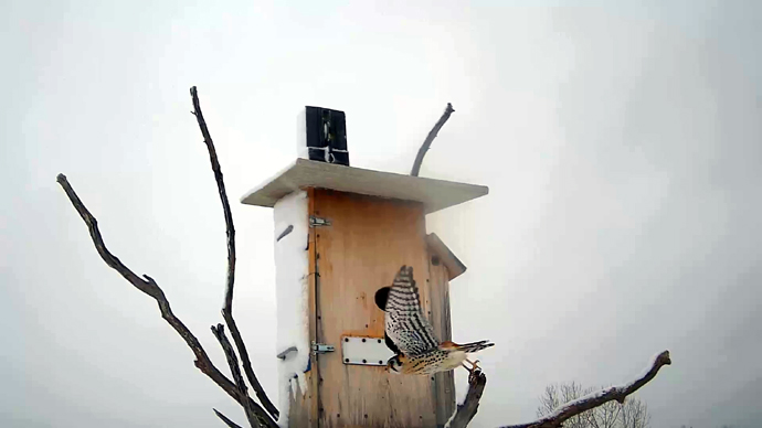 WEB ADJ 99 MK OUT Snapshot JPG