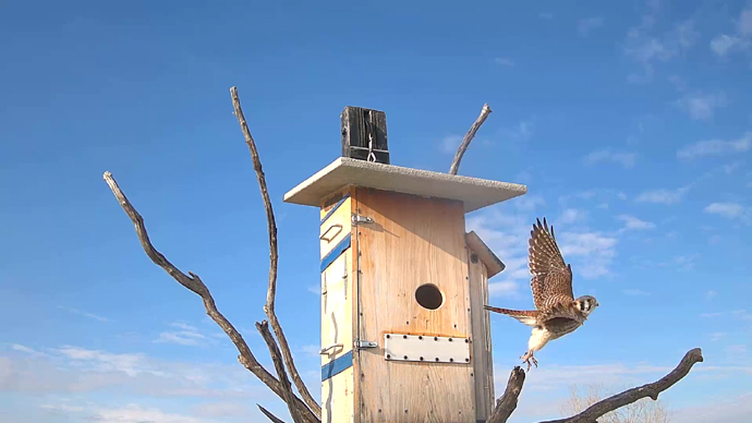 WEB ADJ A OUT FK Snapshot JPG