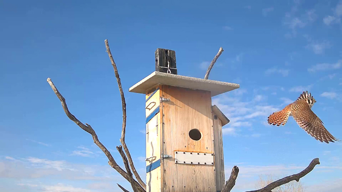 WEB ADJ B OUT FK Snapshot JPG