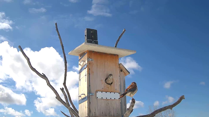 WEB ADJ MARCH 22, 2026 1 MK & FK OUTSIDE CAM JPG