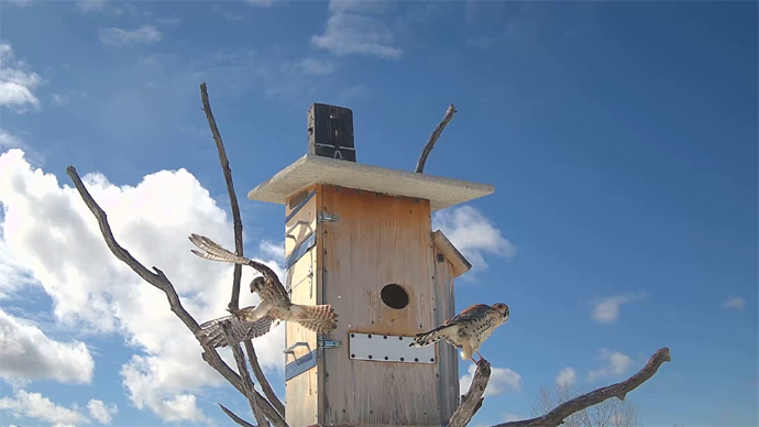 WEB ADJ MARCH 22, 2026 2 MK & FK OUTSIDE CAM JPG