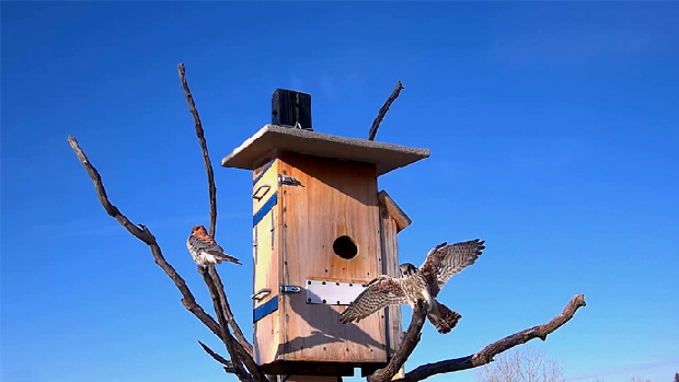 690 x 388 OUTSIDE CAM Snapshot