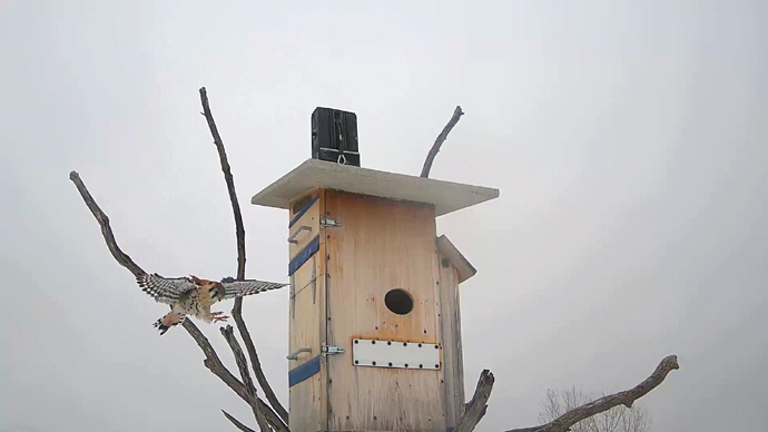 WEB ADJ 1 MK Snapshot JPG