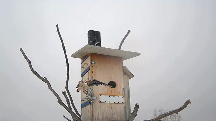 WEB ADJ 2 MK Snapshot JPG