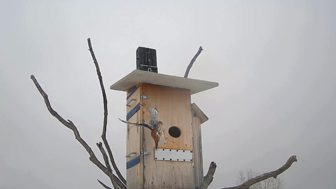 WEB ADJ 4 MK Snapshot JPG