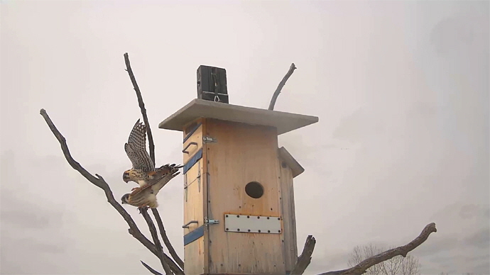 WEB ADJ GOOD COP APRIL 7, 2026 Snapshot JPG