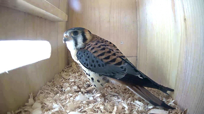 WEB ADJ MARCH 22, 2026 1 MK JPG